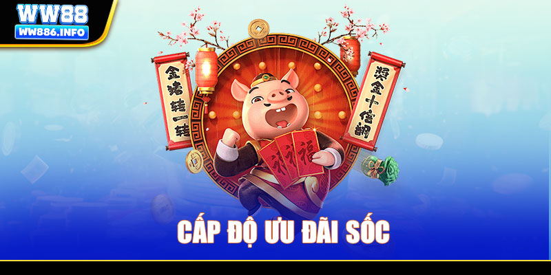 Cấp độ ưu đãi sốc 