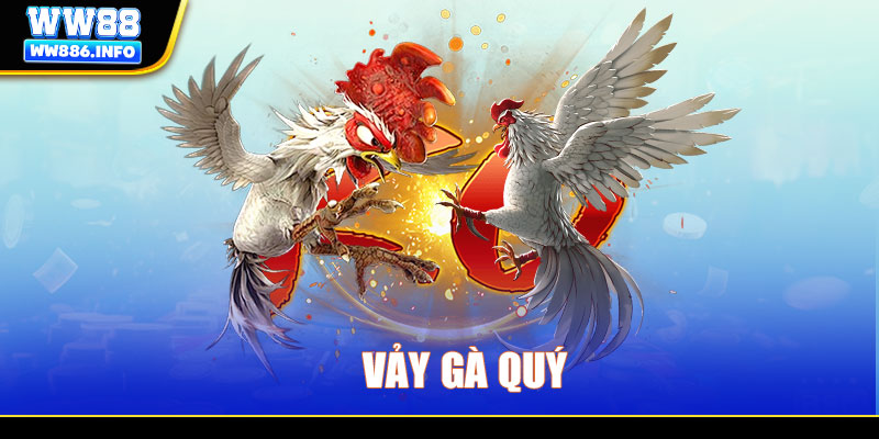 Top vảy gà quý được sư kê săn lùng nhiều nhất 2025