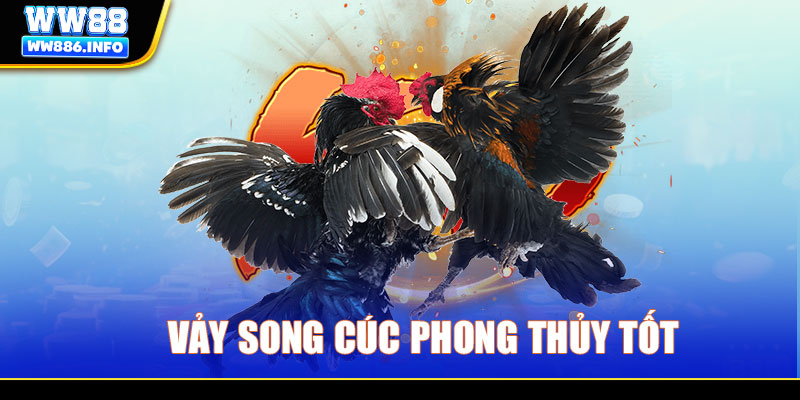 Vảy song cúc phong thủy tốt